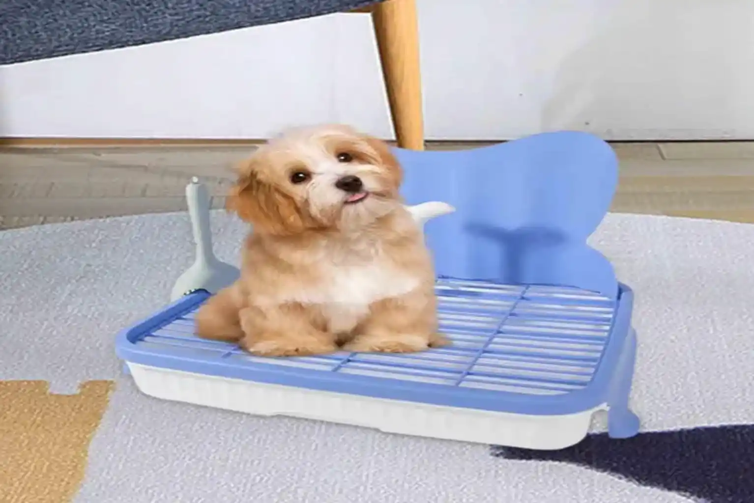 mictório para cachorro macho pequeno funciona