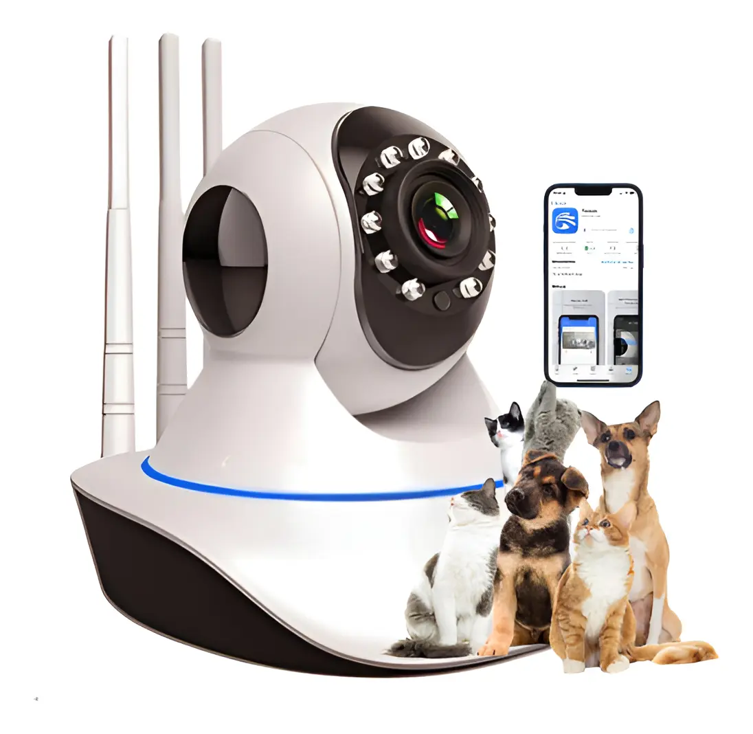 Seu cachorro te segue pela casa toda? Veja o que isso pode significar 10 Camera Pet ML