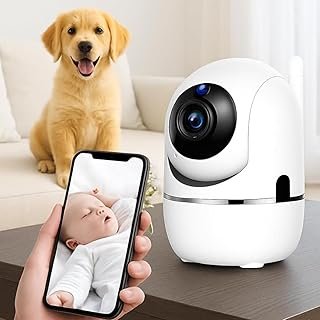 Seu cachorro te segue pela casa toda? Veja o que isso pode significar 9 Camera Pets