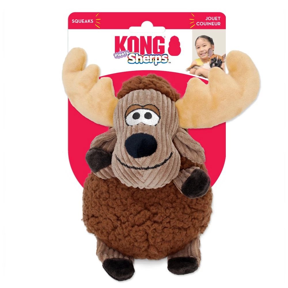 Seu cachorro te segue pela casa toda? Veja o que isso pode significar 4 Kong Shopee