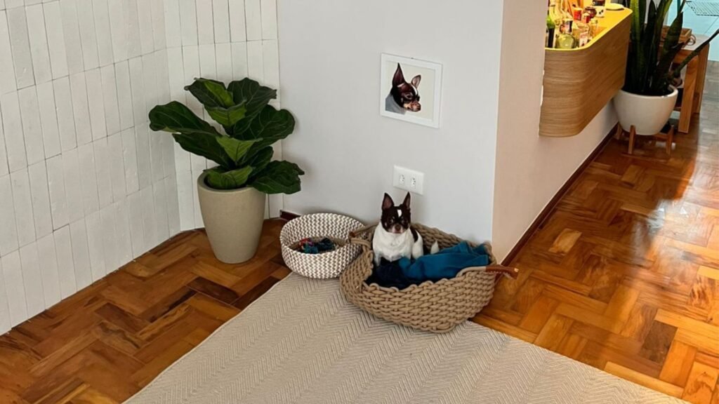 Cama Juanito